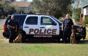 Sweetwater Car with K9s